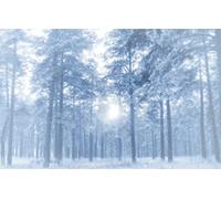 GLHUIOZ Jigsaw Puzzle for Adults,1000-Piece,Pines,Clearing,Frosty,75x50cm