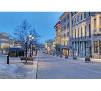 GLHUIOZ Jigsaw Puzzle for Adults 1500 Piece Puzzles for Teenagers Kids Large Jigsaw Puzzle Family Challenging Games Entertainment Toys Gifts Home Decor Canada Montreal Quebec 87x57cm