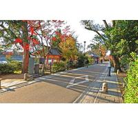 GLHUIOZ Jigsaw Puzzles 1000 pieces for Adults and Children, 10 Years old and up, Japan Kyoto 75x50cm