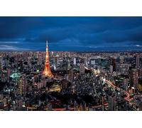 GLHUIOZ Jigsaw Puzzles 500 Pieces for Adults | 500 Piece Puzzle Educational Games Home Decoration Puzzle Tokyo Japan Tokyo 52x38cm
