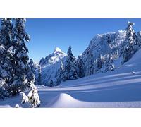 GLHUIOZ Jigsaw Puzzles for Adults 1000 Piece for Adults Gifts,Canada,Vancouver,Canada,British Columbia,75x50cm