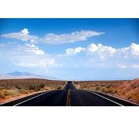 GLHUIOZ Jigsaw Puzzles for Adults 1000 Piece Jigsaw Puzzles for Adults Kids Learning tional Family Games Birthday Gifts for Toddler Children Boys Girls Desert,Nevada,USA,75x50cm