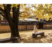 GLHUIOZ Jigsaw Puzzles for Adults 1000 Piece Jigsaw Puzzles for Adults Puzzle 1000 Pieces Jigsaws Gifts South Korea Seoul Asian Gyeongbok 75x50cm