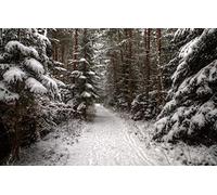 GLHUIOZ jigsaw puzzles for adults 1000 - puzzle Conifers,75x50cm