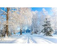 GLHUIOZ Jigsaw Puzzles for Adults 1500 Piece,Family Games DIY Gift Home Wall Decor,Russia,Usmansky Bor,Voronezh Region,87x57cm