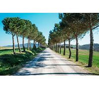 GLHUIOZ jigsaw puzzles for adults 1500 - puzzle Conifers,87x57cm