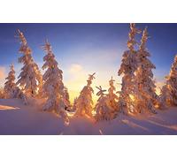 GLHUIOZ jigsaw puzzles for adults 1500 - puzzle Fairytale,Christmas Trees,Fabulous,87x57cm