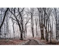 GLHUIOZ Jigsaw Puzzles for Adults 500 Piece,Fairytale,Magical,52x38cm