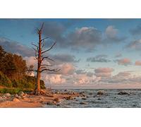 GLHUIOZ Jigsaw Puzzles for Adults 500 Piece,Family Games DIY Gift Home Wall Decor,Baltic Sea,52x38cm