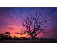 GLHUIOZ Jigsaw Puzzles for Adults 500 Piece Jigsaw Puzzles for Adults Kids Learning tional Family Games Birthday Gifts for Toddler Children Boys Girls Landscapes,52x38cm