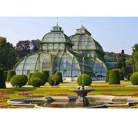 GLHUIOZ Jigsaw Puzzles for Adults 500 Piece Jigsaw Puzzles for Adults Puzzle 500 Pieces Jigsaws Gifts Austria Vienna Parks Fountains Schoenbrunn 52x38cm