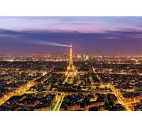 GLHUIOZ Jigsaw Puzzles for Adults 500 Puzzles for Adults 500 Pieces Puzzle 500 Pieces 500 Piece Jigsaw Puzzles France Paris 52x38cm