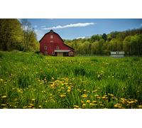 GLHUIOZ Jigsaw puzzles for adults kids 1000 Pieces Challenging Game,Barn,Dandelions,Pennsylvania,New Albany,75x50cm
