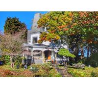 GLHUIOZ Jigsaw puzzles for adults kids 500 Pieces Jigsaw Puzzles Challenging Game Canada Niagara 52x38cm