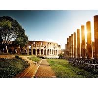 GLHUIOZ Jigsaws 1000 pieces for adults - 1000 piece jigsaw puzzles for adults is ideal as a gift for the whole family the jigsaw puzzle Rome Italy Colosseum Ruins Monuments 75x50cm