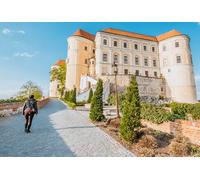 GLHUIOZ Jigsaws 1000 pieces for adults - 1000 piece jigsaw puzzles for adults is ideal as a gift for the whole family the jigsaw puzzle Czech Republic 75x50cm