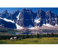 GLHUIOZ Jigsaws 1500 pieces for adults is ideal as a gift for the whole family Canada,Alberta,87x57cm