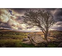 GLHUIOZ Jigsaws 1500 pieces for adults is ideal as a gift for the whole family Stones,England,Devon,87x57cm