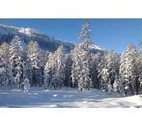 GLHUIOZ Personalised Jigsaw Photo Custom Jigsaw Puzzle 1000 pc Wooden Puzzle Personalized Gift,Far East,75x50cm