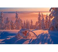 GLHUIOZ Personalised Jigsaw Photo Custom Jigsaw Puzzle 1000 pc Wooden Puzzle Personalized Gift,Siberia,Republic of Sakha,Yakutia,75x50cm