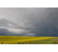 GLHUIOZ Personalised Jigsaw Photo Custom Jigsaw Puzzle 500 pc Wooden Puzzle Personalized Gift,Field,Farm,52x38cm