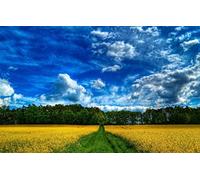 GLHUIOZ Personalised Wooden Jigsaw Puzzles 500 Piece for Adults from Photo Custom - Design Your Own Picture Gifts Wallpaper,Farm,52x38cm