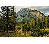 GLHUIOZ Personalised Wooden Jigsaw Puzzles 500 Piece for Adults from Photo Custom - Design Your Own Picture Gifts Banff National Park,Canada,52x38cm