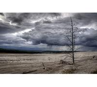 GLHUIOZ Puzzle from Photo Custom Jigsaw Puzzle Unique Birthday Present Suitable Personalized Puzzle-500piece-Wooden,Yellowstone National Park,Fountain Paintpots Nature Trail,52x38cm