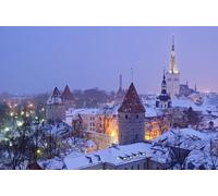 GLHUIOZ Puzzles for Adults 500 Piece Wooden Puzzles-Puzzle Hands-on Game-Family Decoration Estonia 52x38cm