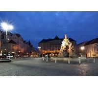 GLHUIOZ Wooden Animal Jigsaw Puzzles for Adults & Kids Unique Universal Colourful Fun Wood Challenging Puzzles for Family 1500 Piece Czech Republic Monuments Brno Town 87x57cm