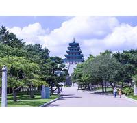 GLHUIOZ Wooden Puzzle for Adults and Kids, Wooden Jigsaw Puzzles, Unique Shaped Puzzle Pieces, South Korea Parks National Museum Korea Seoul 87x57cm