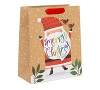 Glick Christmas Large Gift Bag, Fits Slighly Larger Gifts at 26 cm x 31.5 cm x 13.5 cm, Rainbow Claus Design, Multicoloured