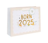 Glick Large Landscape Gift Bag, Born in 2025, Welcome New Baby GiftBag, 275 x 355 x 100 mm, Multi-Coloured