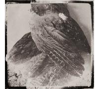 Glissando - The Word Without Us [VINYL]