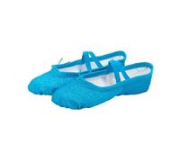 Glitter Ballet Dance Shoes Yoga Gym Flat Slippers Pink Blue Rose Red Colors Ballet Dance Shoes for Girls Children Women Teacher(Blue,27)