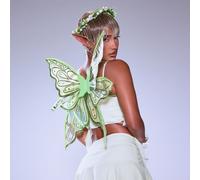 Glitter Mesh Detail Fairy Wings In Green, Women's Size UK One Size