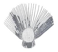 Glitter Rhinestone Long Fringed Hair Chain Headband Hat Stage Performance for Women Headpiece Head Chain for fashion(Silver)