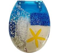 Glitter Soft Close Toilet Seat - Top/Shutter/Standard Fixing with Sparkle Resin Design(Blue)