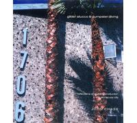 Glitter Stucco & Dumpster Diving: Reflections on Building Production in the Vernacular City (Haymarket)