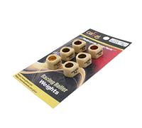 Glixal 16x13mm High Performance Polygon Variator Sliders, Racing Sliding Roller Weights 139QMB GY6 50cc - 100cc Scooter Moped ATV (5 Gram)