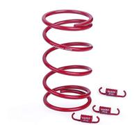 Glixal ATKS-03903 Chinese Scooter High Performance Racing Torque Spring clutch springs GY6 50cc-100cc 139QMB Engine Moped ATV (2000RPM,Red)