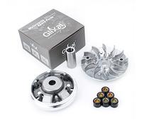 Glixal GY6 125cc 150cc Variator Kit, Front Clutch Drive Pulley with 13g Roller Weights for 152QMI 157QMJ Scooter Moped ATV Go-Kart UTV