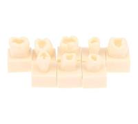 Glixoft 8pcs/kit Tooth Model, Dental Posterior Student Training Test Model Practice Composite Resin Filling Teeth Jaw Dentistry Equipment