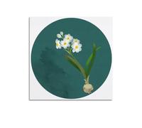 GLJXFP Daffodil Artistic Conception of The Flower Poster Poster Decorative Painting Canvas Wall Posters And Art Picture Print Modern Family Bedroom Decor Posters 20x20inch(50x50cm)