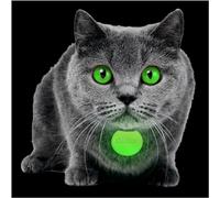 GLO-X Cat Collar Glow Tags - World’s Most Powerful Glow in The Dark Cat Collar Tags for Night Safety - Enhance Visibility for 12+ Hours - Solar Powered