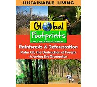 Global Footprints - Rainforests & Deforestation, Palm Oil & Saving the Orangutan