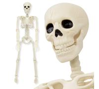 Global Gizmos 47729 Posable Halloween Skeleton / 90cm Height/Movable Joints/Indoor & Outdoor Suitable