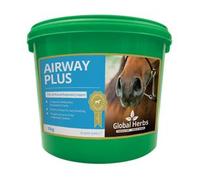 Global H Airway Plus
