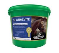 Global H Global Vite