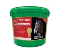 Global H Gut Support